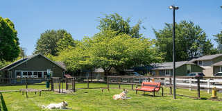 ReNew Dash Point Gallery 56