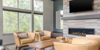 206 Apartments Gallery 14