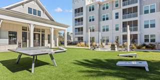 Primrose at Santa Rosa Beach Gallery 66