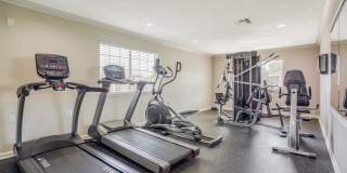 The Carlyle Gallery 9