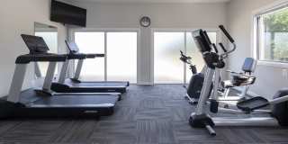 Cromwell Valley Gallery 23