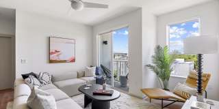 Starlight Gallery 15