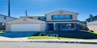 25526 GOLD YARROW Gallery 1