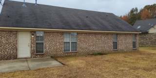 8898 Rasco Hills Cv Gallery 6