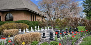 Meadowbrook Gallery 14