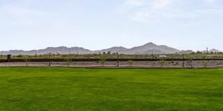 Amavida Marana Gallery 37