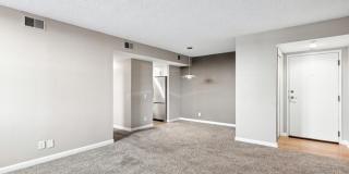 Available NOW! 1 Bedroom 1 Bath Beautiful Condo in Denver! Gallery 16