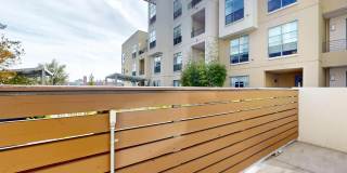 Edgewater Gallery 20