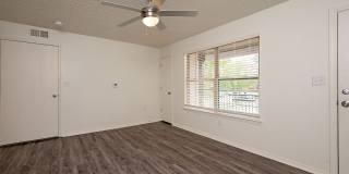 Sentinel of Conway Gallery 5