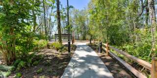 Avaya Ridge Gallery 34
