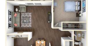 Forest Ridge Gallery 13
