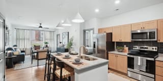 Bluebird on Seventy Gallery 2