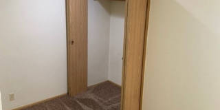 OliveT Gallery 10