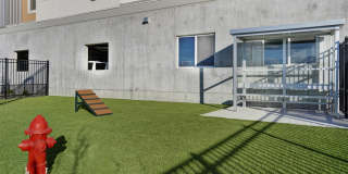 Skyline Peaks Gallery 17
