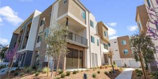 105 Culture Gallery 4