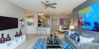 RIZE at Winter Springs Gallery 44