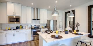 Revolution luxury apt homes Gallery 7