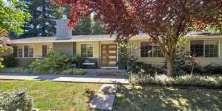Gorgeous 4 Bedroom PLUS Spacious Bonus Room with Pool in Desired Alamo Neighborhood Available Now! Gallery 4