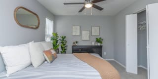 Windsor Place Gallery 40