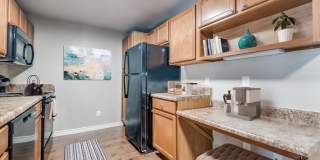 Valor at Harlingen Gallery 8