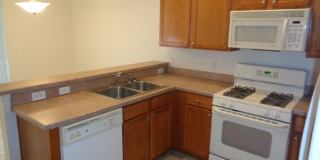 3 Bed/ 2 Bath in Victoria Park 3 Bed/ 2 Bath in Victoria Park Gallery 19