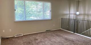 Cute House with Amazing Yard! Gallery 3