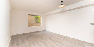 118 107th Ave. NE #B111 Gallery 5