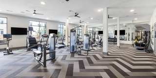 Edition on Oberlin Gallery 8