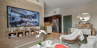 Pine Groves Gallery 1