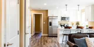 Paugus Woods Gallery 15