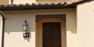 132 Island Coral Gallery 39