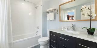 Newly Renovated Rowhome in Capitol Hill 4BR 3Bath Gallery 26
