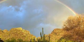 6802 N 26TH Street Gallery 36