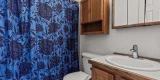 3 Bed Home in Pueblo West with huge yard! Gallery 16
