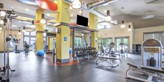 The Grove Somerset Gallery 10