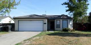 Coming Soon! Gallery 1