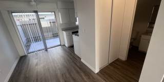 Palmwood Gardens Gallery 9