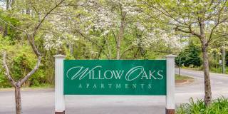 Willow Oaks Gallery 18
