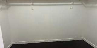 True Beauty! SOLAR Gallery 35