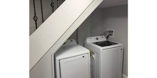 1271 Limit Avenue $650 Available Room (Shared Bath) Gallery 30