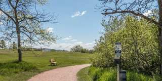 Silver Springs Gallery 9