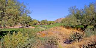 6894 E THIRSTY CACTUS Lane Gallery 46