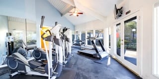 Park at Northgate Apartment Homes Gallery 4