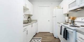 Bradford Park Gallery 49