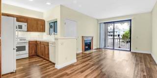 3443 Pepperwood Ter Gallery 10