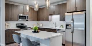 Degree of Honor Gallery 1