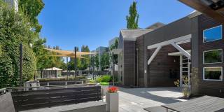 Almaden Lake Village Gallery 34