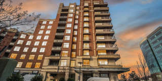 3600 S GLEBE Road 3600 S GLEBE Road Gallery 1