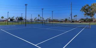 Aster on University Gallery 19