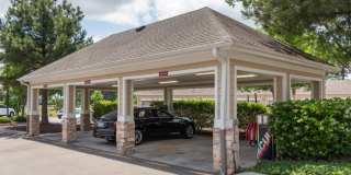 Red Knot at Edinburgh Gallery 51